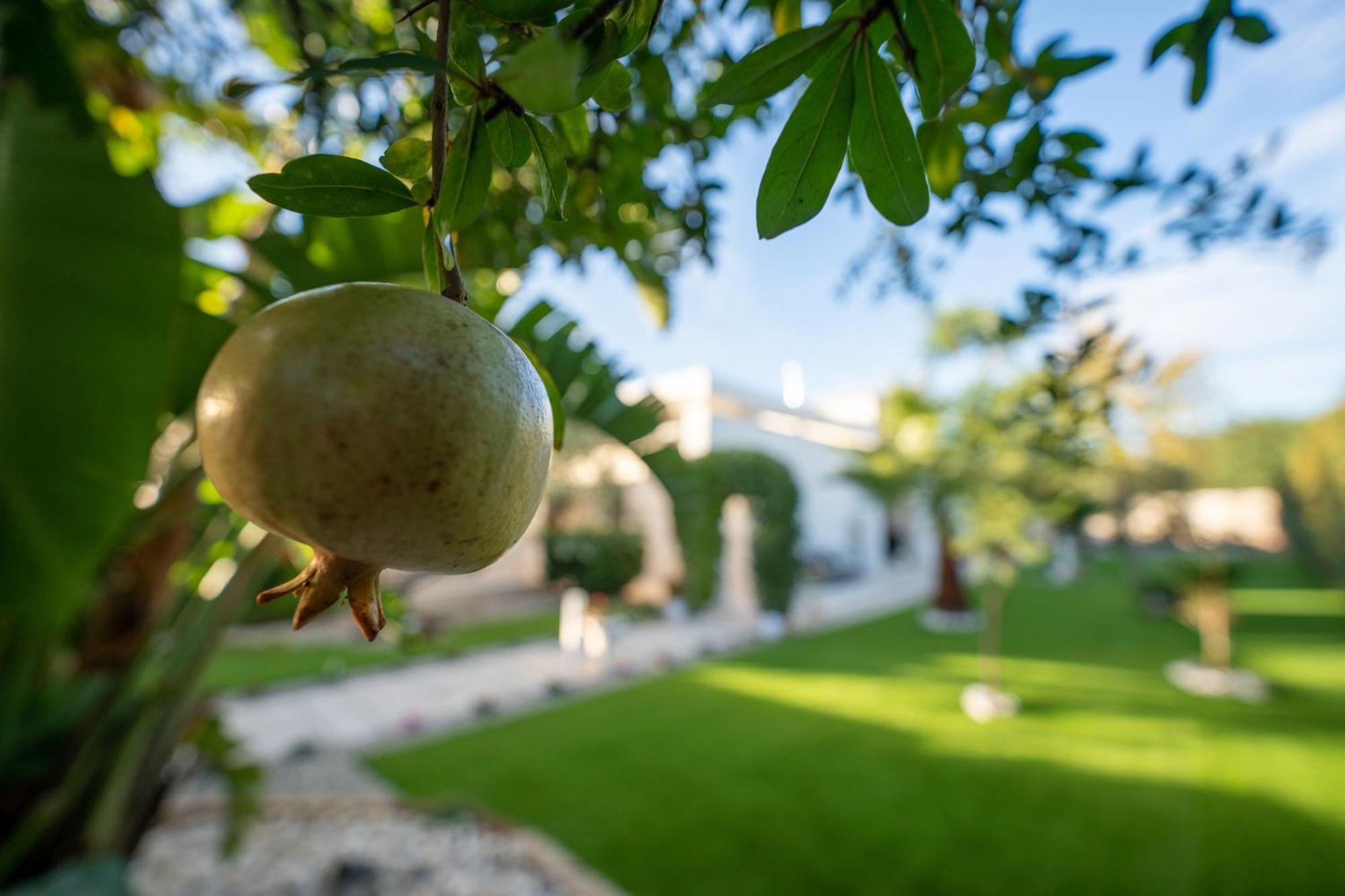 Oasi Della Pace Villa Bisceglie Exterior foto